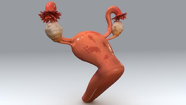 月经提前七天的原因分析，女性健康问题的探讨